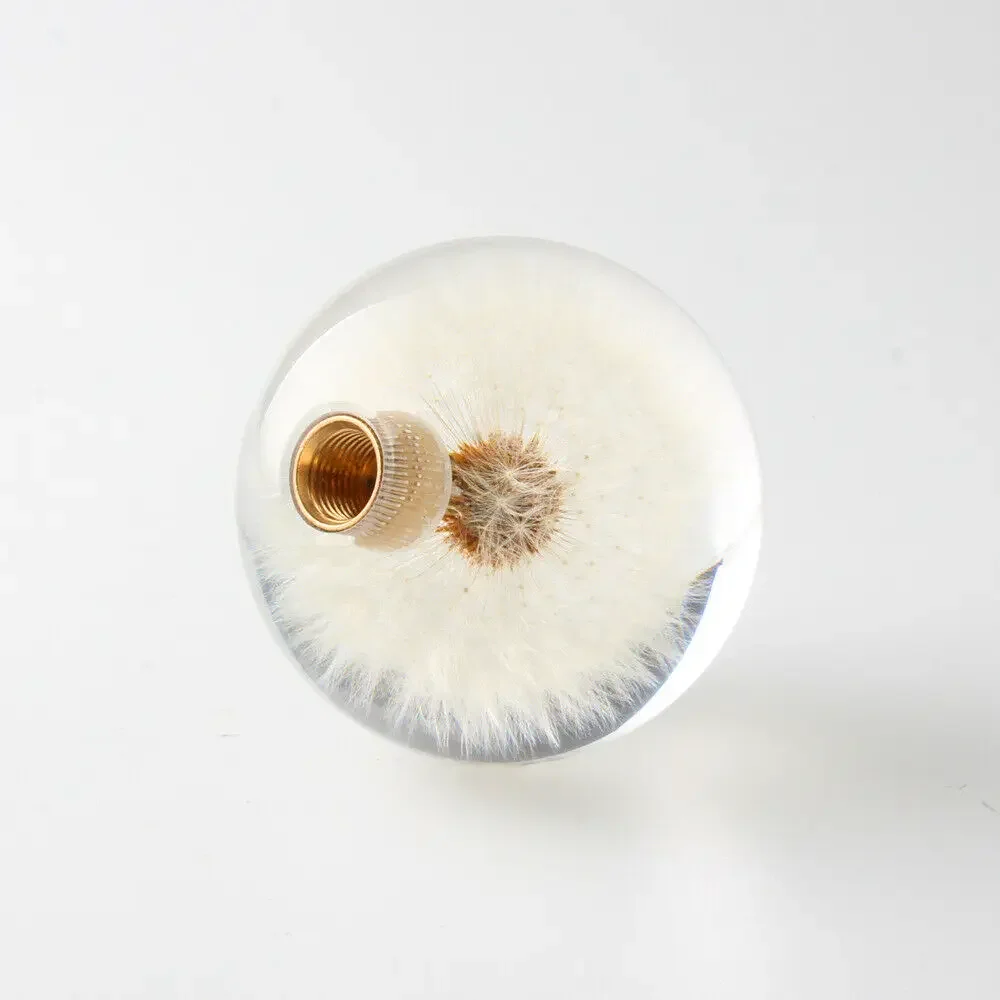 Universal 70MM/54MM Racing Crystal Ball Dandelion Real Flowers Gear Shift Knob Head Transparent DIY