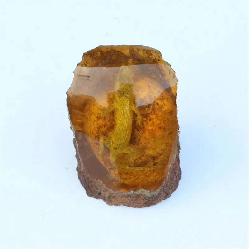 

Amber specimen small animal living protolith Gecko Lizard chongpo rare fossil ornament