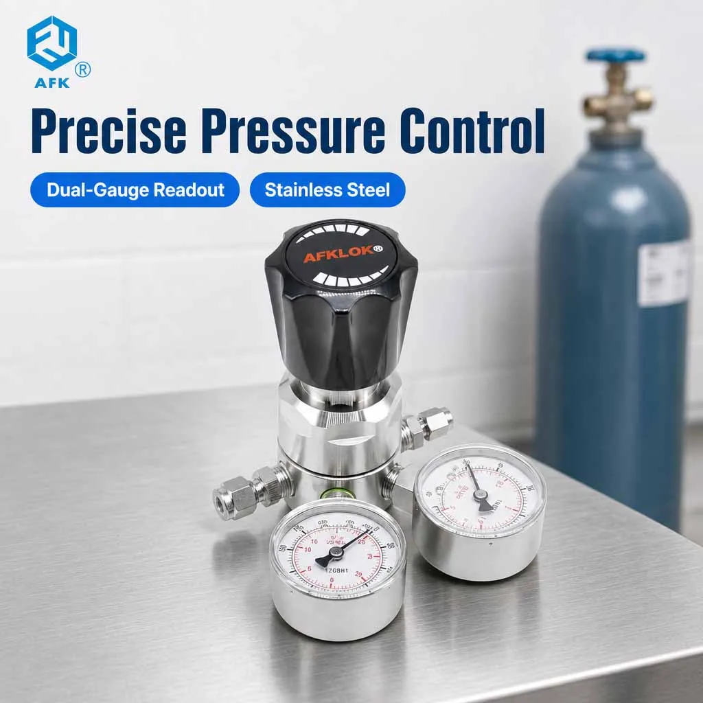 Low Pressure Stainless Steel Gas Pressure Regulator 160psi in 30psi out for Hydrogen Nitrogen Oxygen