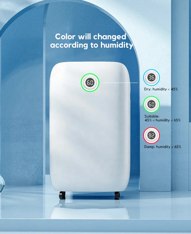 Dehumidifier for Home Portable Small Basement Dehumidifiers