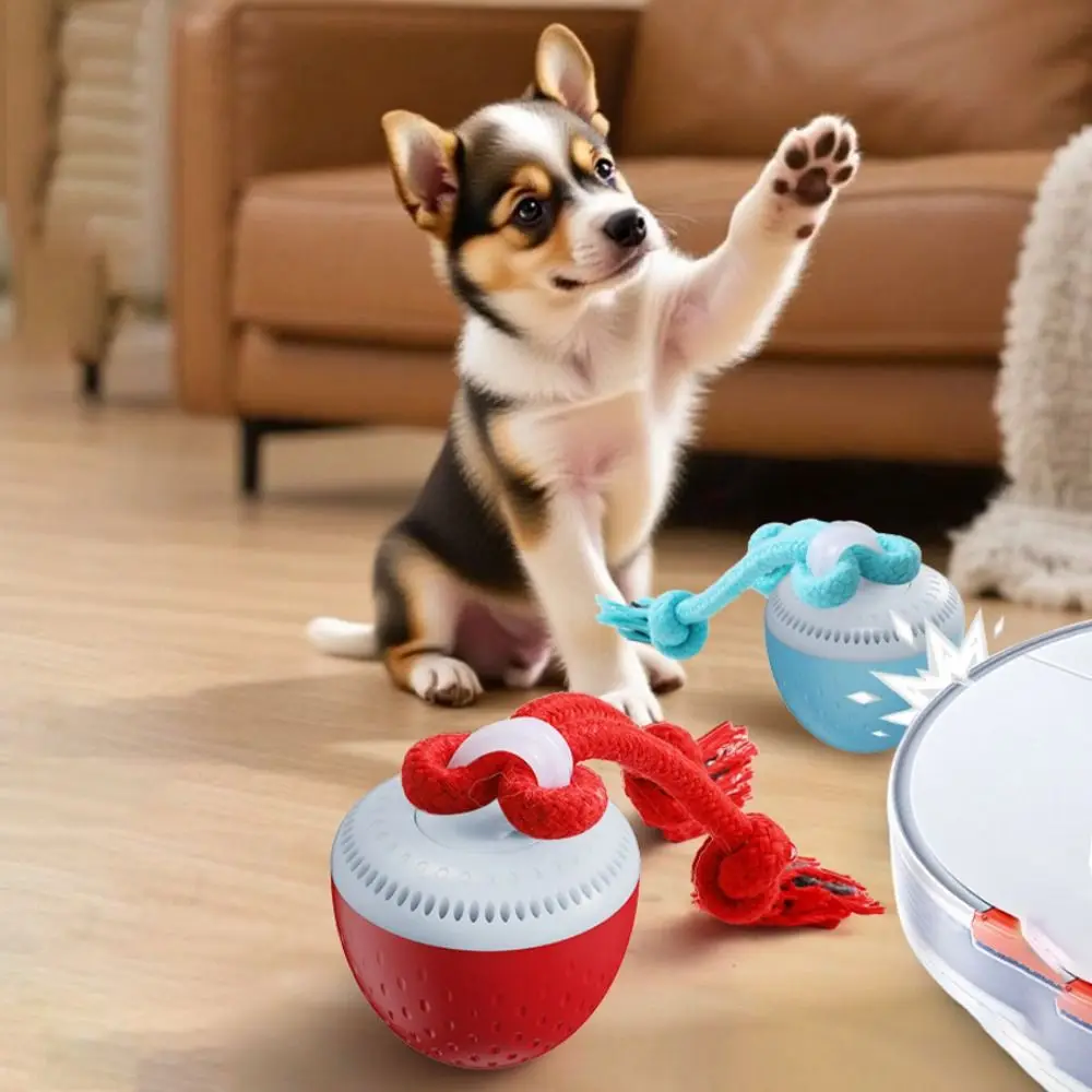 Bite Resistant Smart Pet Toy Ball Random Path USB Charging Interactive Dog Toy Ball Electronic 3 Modes Active Rolling Ball