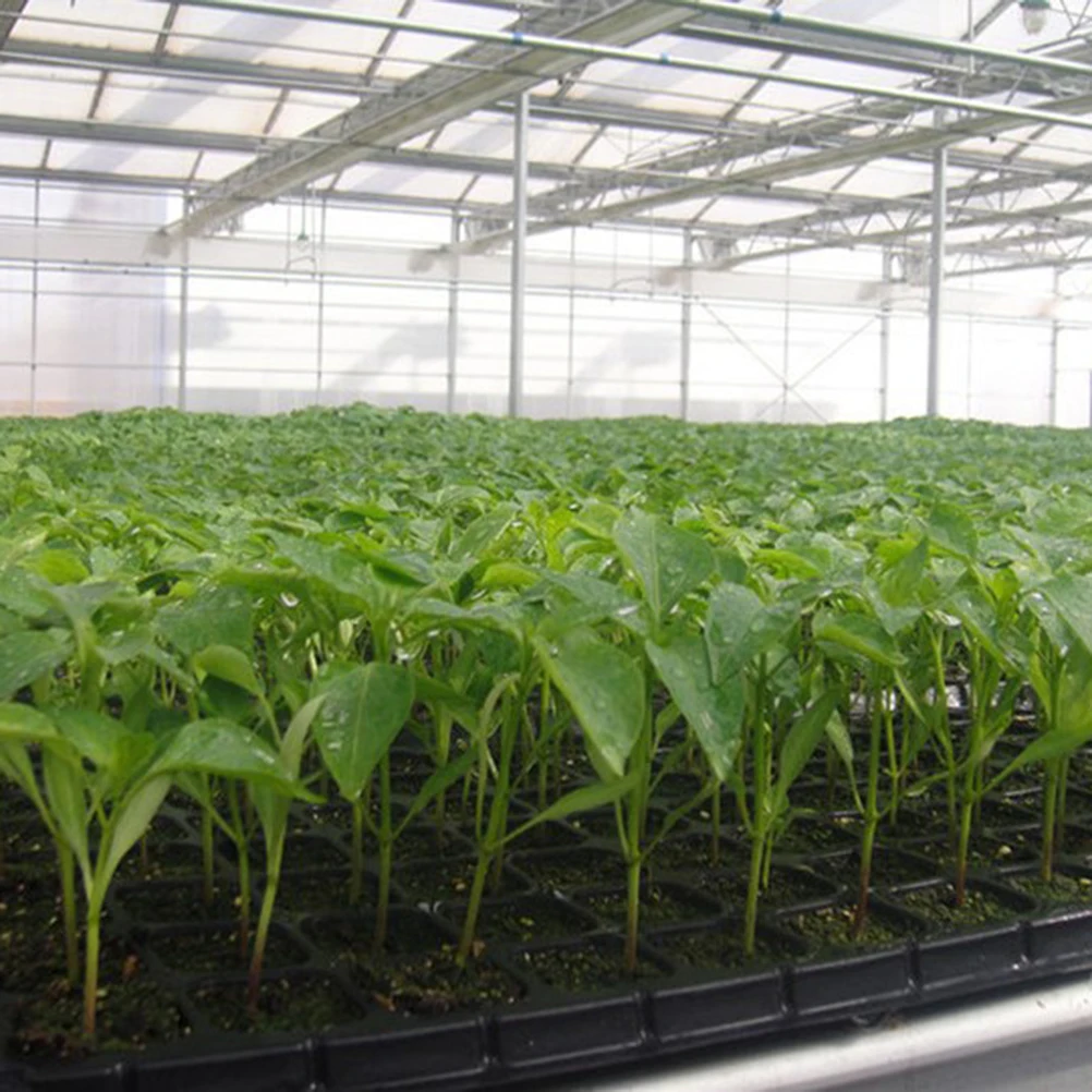 

2Pcs Quality Seed Sprouting Tray 50 Holes High Germination Rate Ventilated Design For Various Seeds Black Nursery Plates