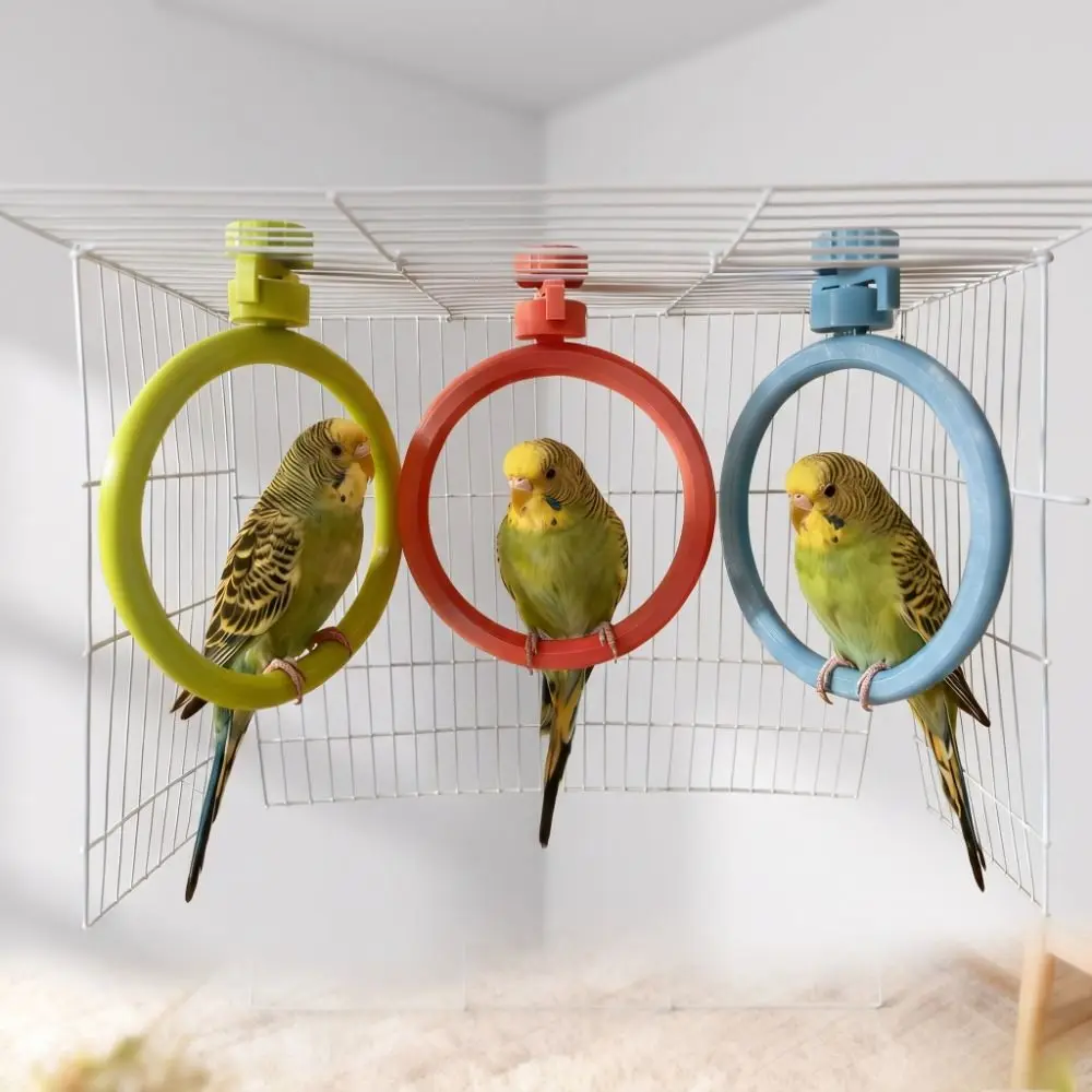 Round Rotary Bird Perch Comfortable Grip Quiet Rotating Bird Stand Detachable Easy Assemble Birds Grinding Perch Holder