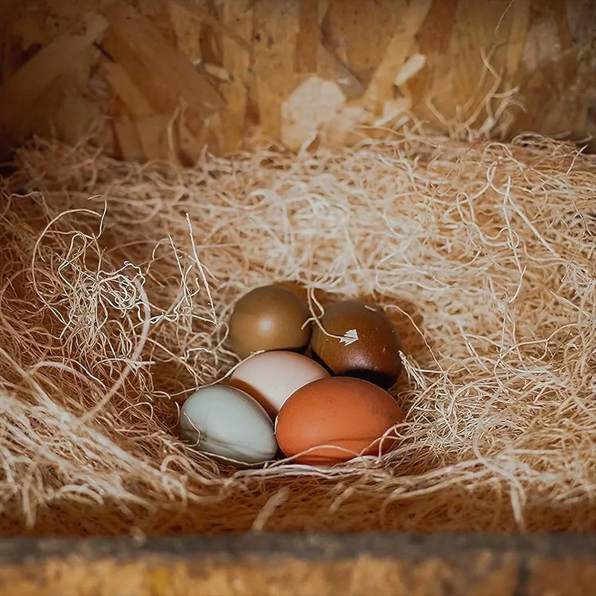 A67T NEW Premium Laying Hen Nesting Pads, Farm Ranch Hen Nesting Mat Square Coconut Palm Chicken Nest Hen Egg Nesting Mat