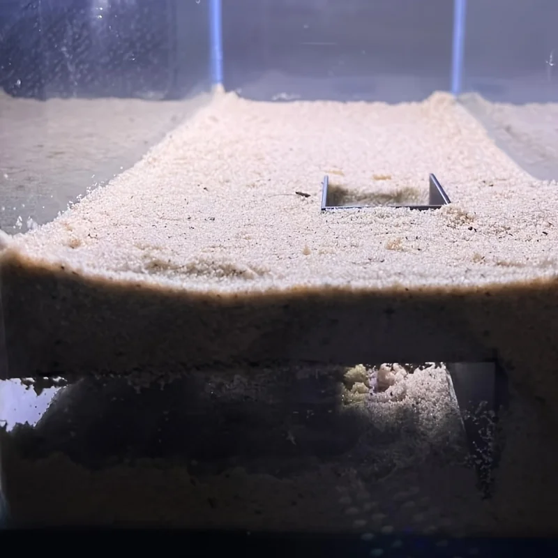 Decoration of hermit crab tunnel shelter | Crabs, frogs or lizards hide corner caves for easy access to slopes and viewing areas