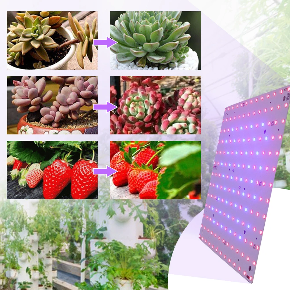 

12W LED Plant Lamp Red Blue LED Square Full Spectrum Plant Light 169 LED Grow Lamp for Indoor Gardening Vegetables Grow