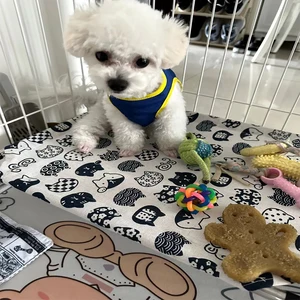 9 Hauptverkaufslager - №8