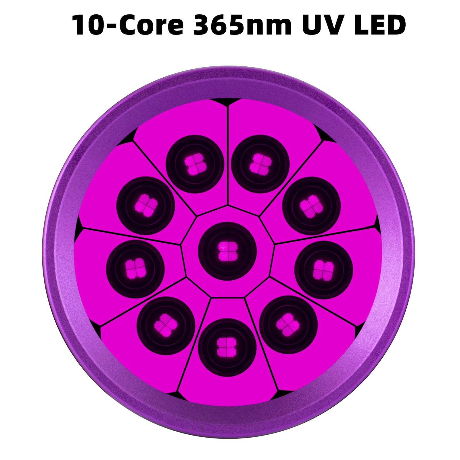 200W 365nm LED UV-Taschenlampe Leistungsstarke Schwarzlichtlampe USB-Aufladbar für Katzen- und Hundepilzinfektionen, Urinflecken, Skorpione, Geldprüfung, Ultraviolettlampe – Detail 5