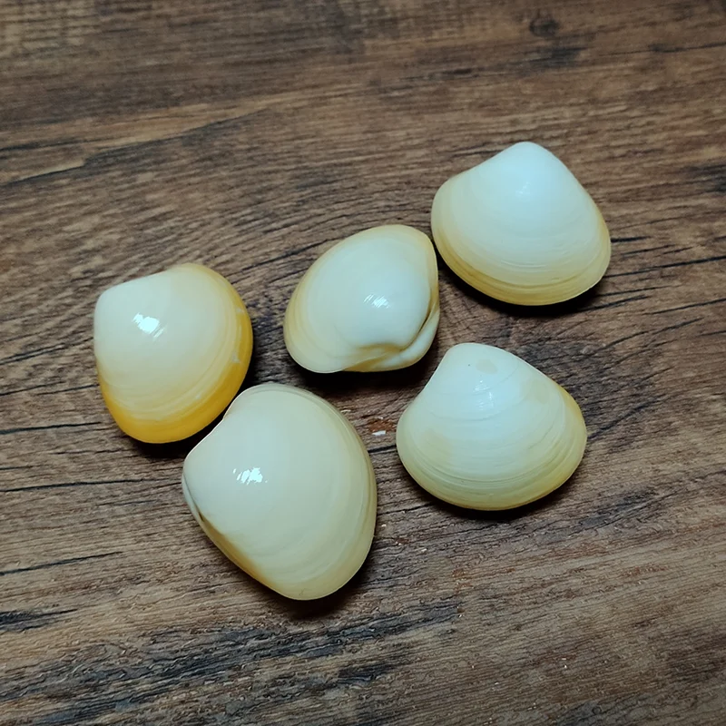 

5 шт., желтая ракушка для украшения дома, 3-4 см