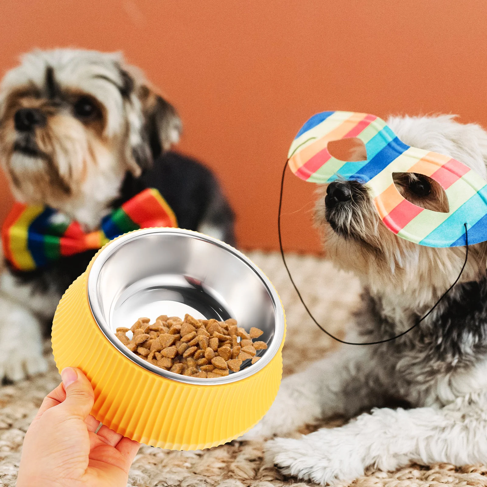 

Stainless Steel Dog Bowl Cat Water Bowl Detachable Pet Food Bowls Anti Fall Large Capacity Puppy Feeding Smooth Easy Clean HIPS