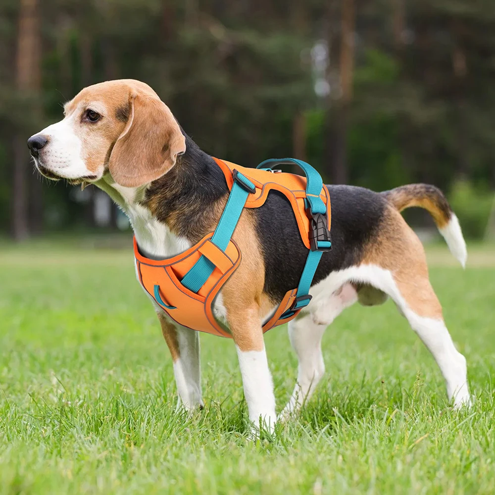 Mesh Breathable Dog Harness Nylon Reflective Dog Harnesses Vest Durable Pet Training Vest Adjustable for Small Medium Large Dogs