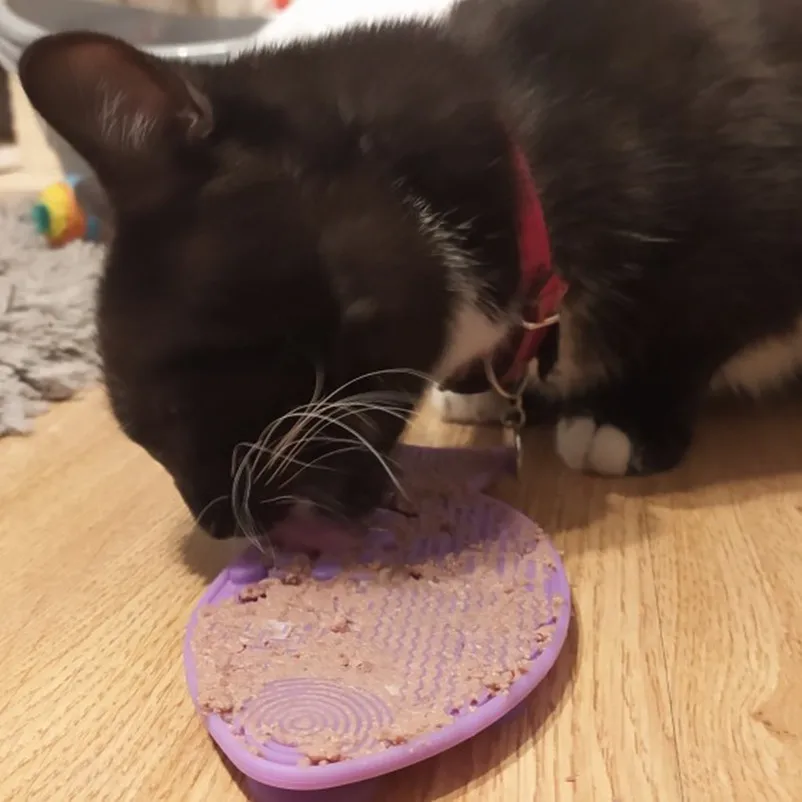 Suitable for pets weighing less than 3 kilograms Mat Cats Slow Food Bowls Suction Cup Feeding Food Silicone Lick,product small