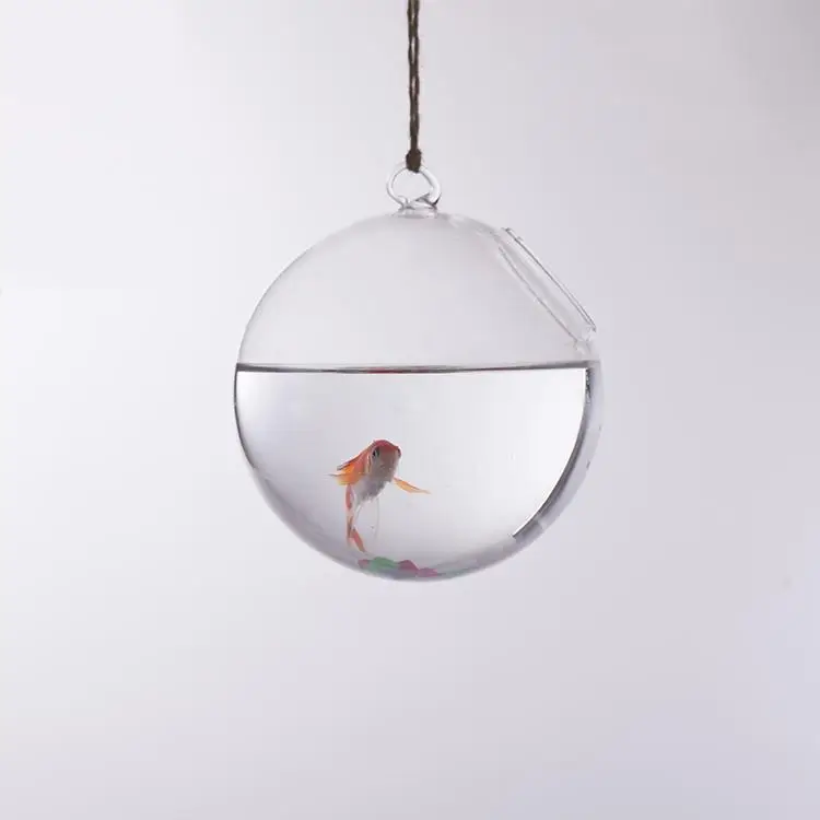 Hanging Ball Shape Glass Flower Planter Hydroponic Vase ContainersMini Fish Tank