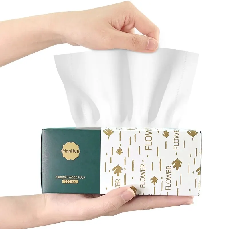 Boîte Complète de Serviettes en Papier Hygiénique, Abordable, Ménage, 6 Boîtes