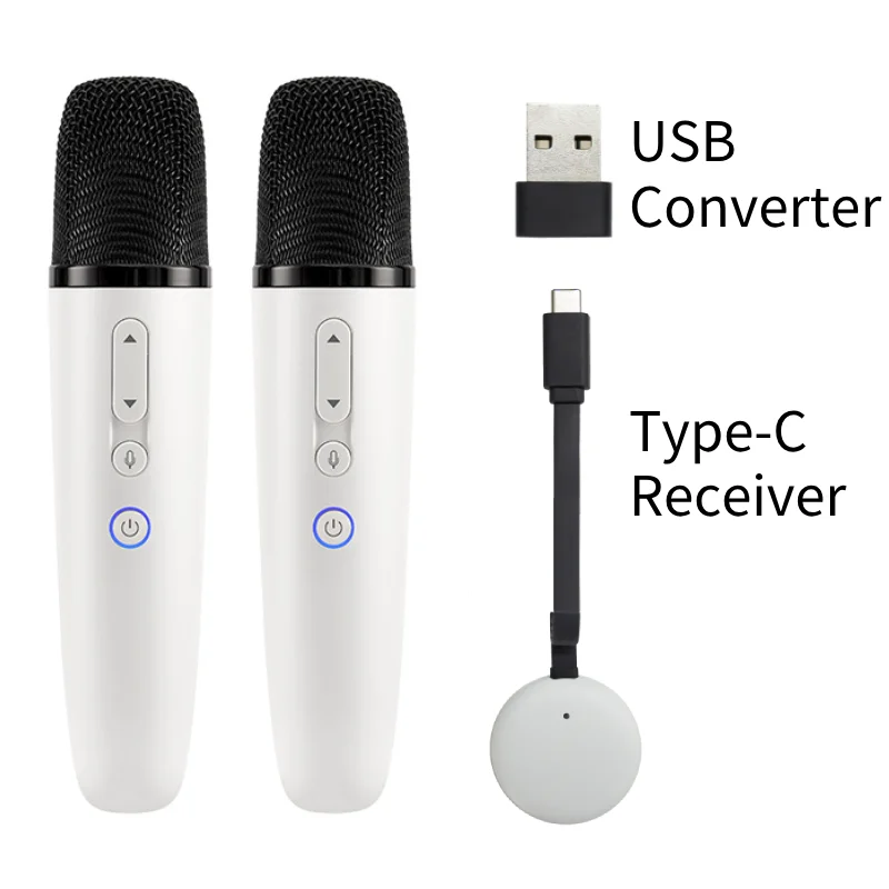 Q1-Tesla 車カラオケマイク Tesla Model Y/3/X/Cybertruck 用、USB-A