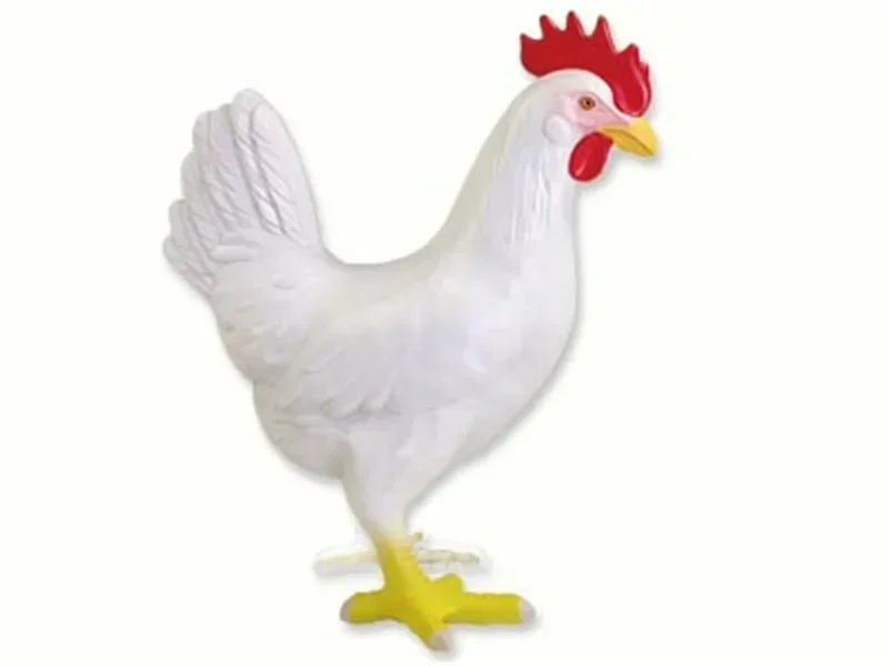 1PC Red and White Chicken 4D Master Puzzle Assembling Toy Animal Biology Organ Anatomical Teaching Model Anatomy