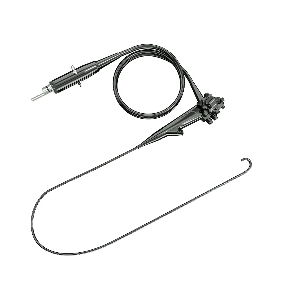 HD Veterinary Endoscopy Image Processing Center compatible to rigid endoscope and videoscope