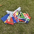 48 Countries Flag