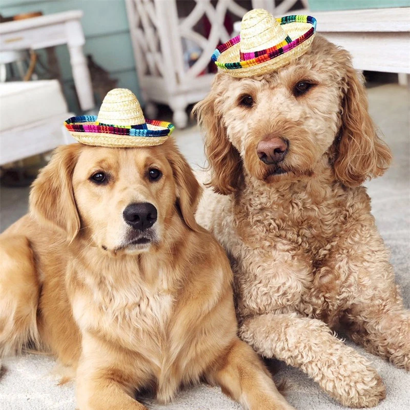 Colorful Mini Pet Dogs Straw Hat Sombrero Cat Sun Hat Beach Party Mexican Straw Cap Hats Dogs Hawaii Style Hat Pet Supplies