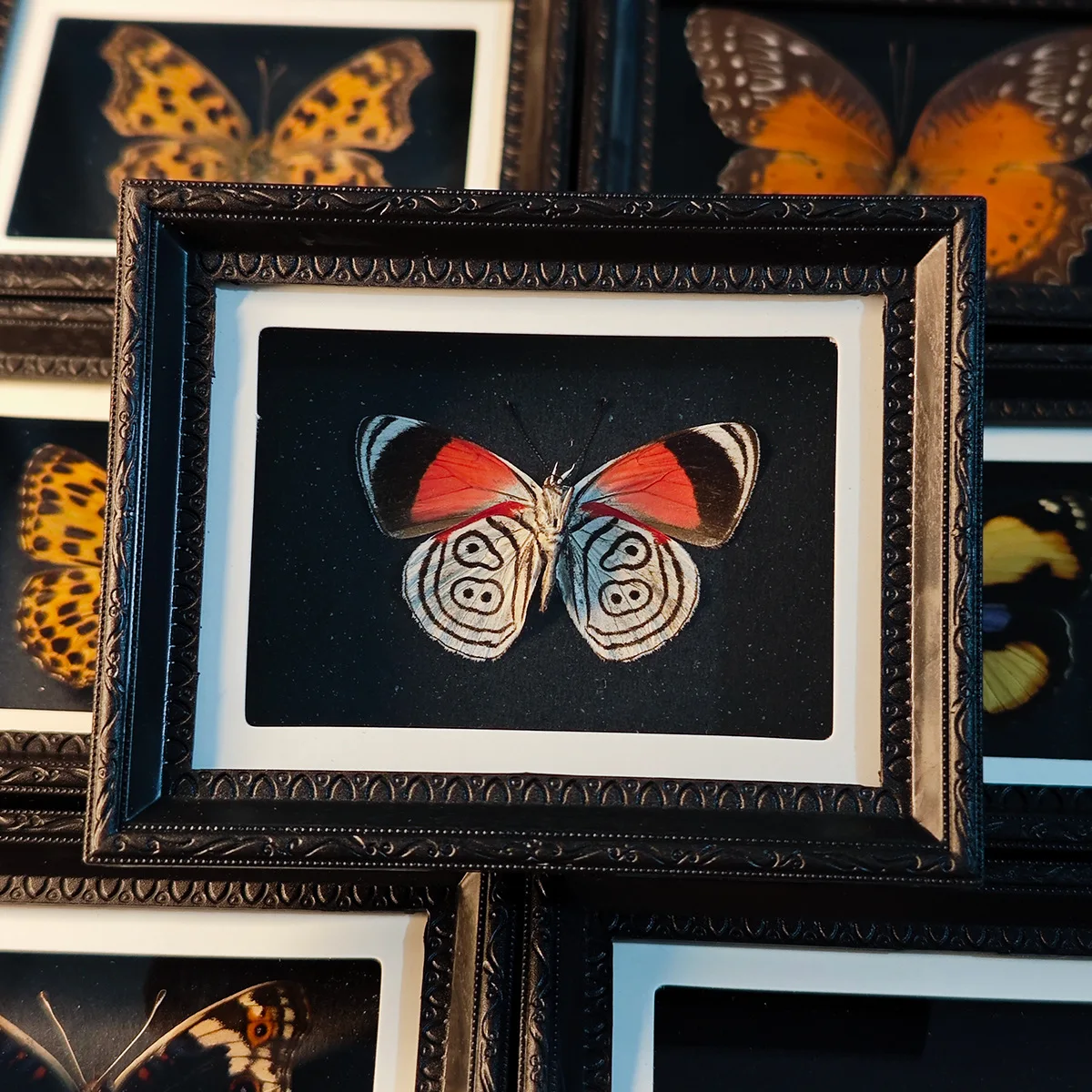 butterfly Refrigerator Sticker Finished European Photo Frame Home Ornament Creative Friend Birthday Gift
