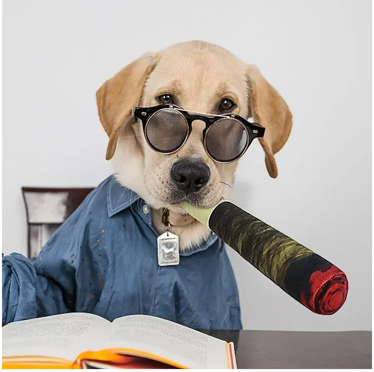 Interaktives Hundespielzeug mit Geräuscheffekt, Zigarrenform für kleine Hunde, widerstandsfähiges Quietschspielzeug, unzerstörbares Plüsch-Kauspielzeug, Beißspielzeug für Haustiere – Detail 2