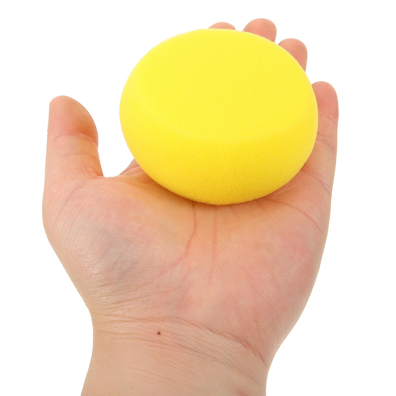 

5 Pcs Pet Bath Sponge Equipment Scrubber Take Exfoliating Dog Brush for Bathing Foam Puppy Tool