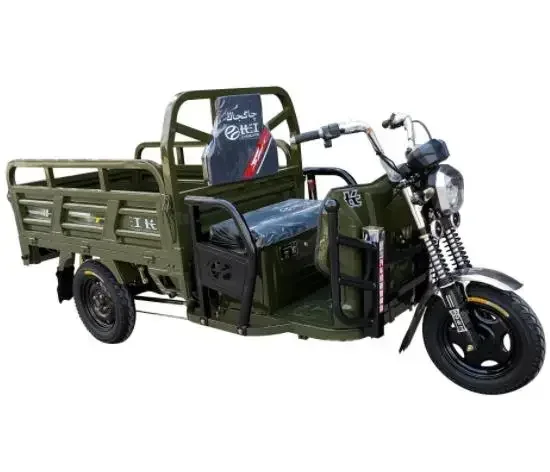 China Supply45km/h Much Safety and Popular 60V 1000W 3 Gear Speed Electric Tricycle for Cargo