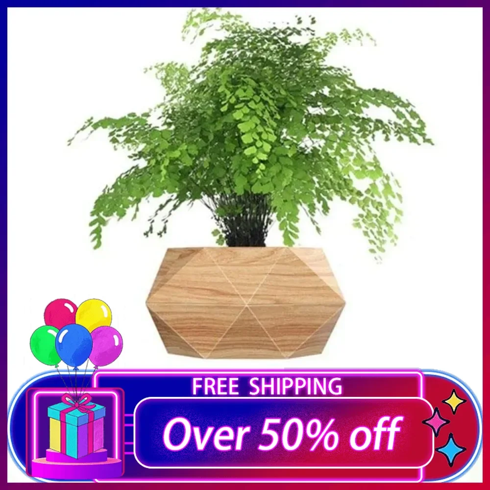 

Levitating Plant Pot Hexagon Floating Air Bonsai Pot Suspension Flower Pots Planter for Office Home Decoration