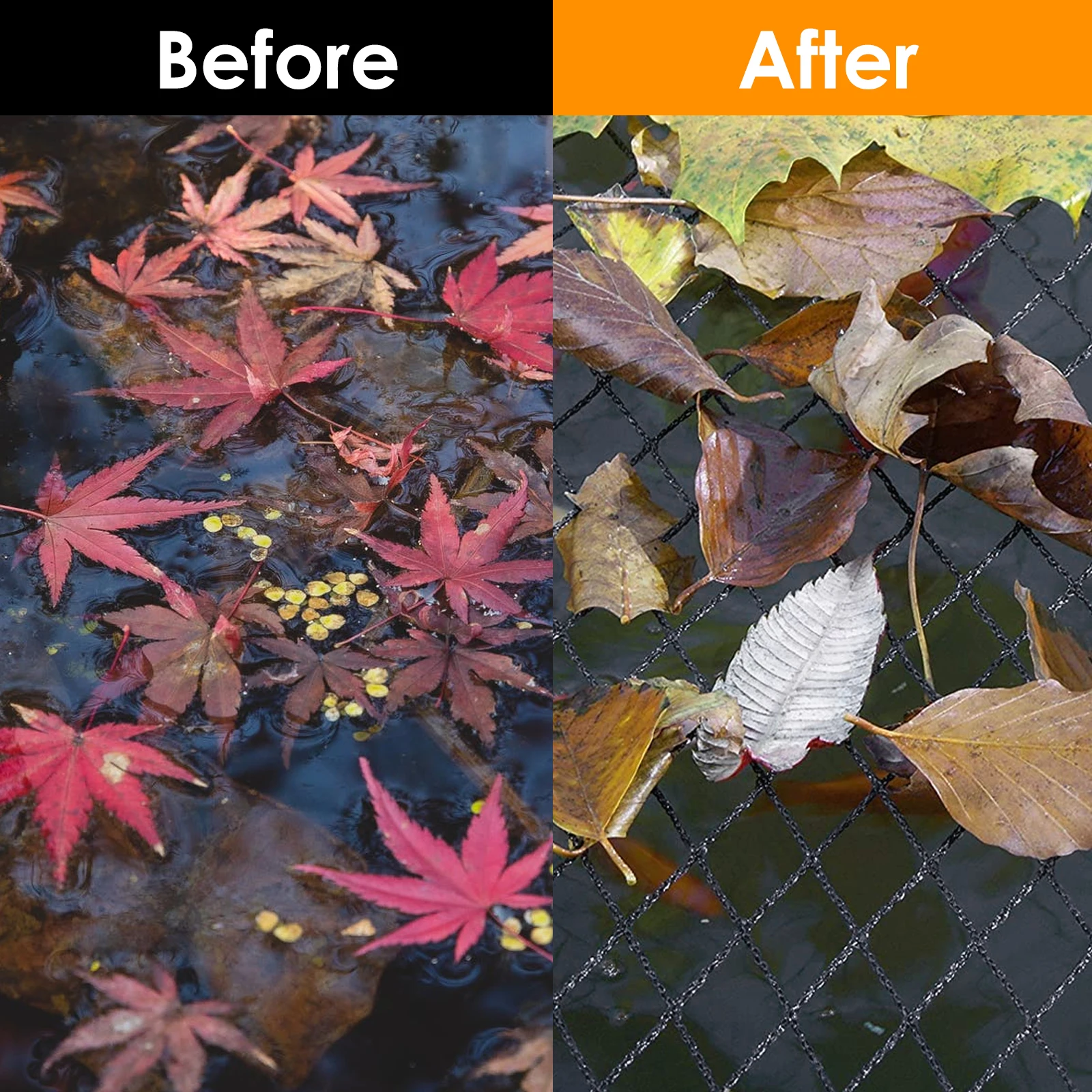 Thumbnail 4 - #38 Ponds Ranking List in 2026