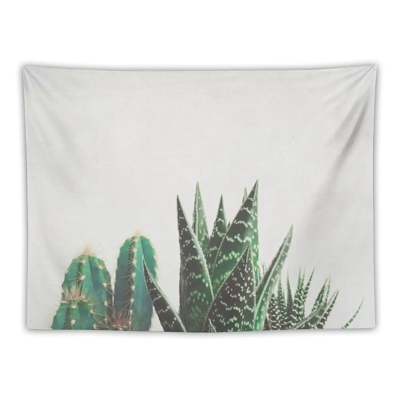 

Cactus & Succulents Tapestry Bedrooms Decorations Wall Hangings Decoration Tapestry