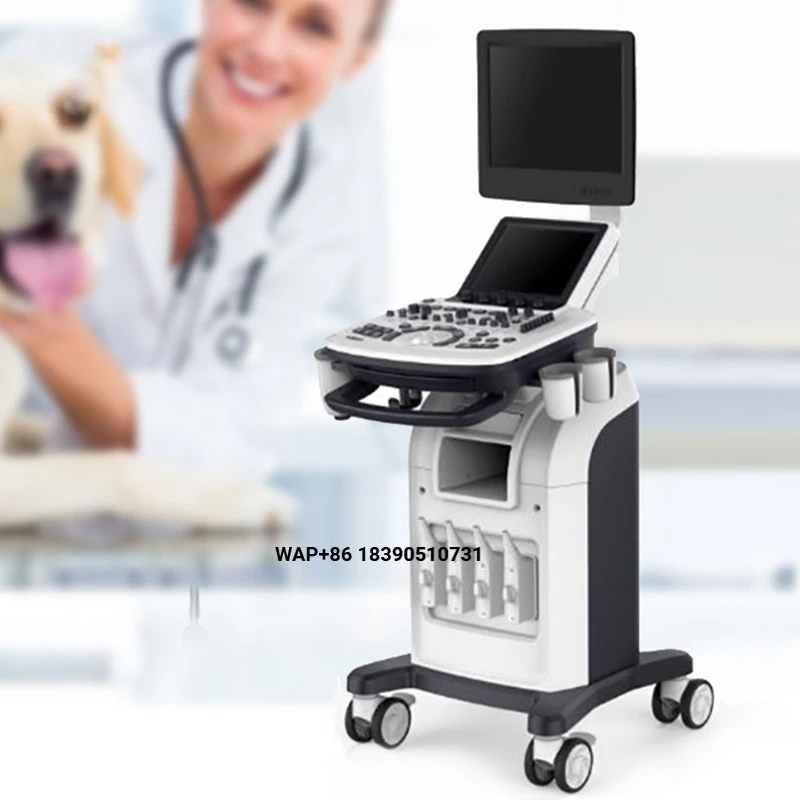 Longmei Veterinary 4D Diagnosis Full Digital Color Ultrasound Scanner Ultrasound Equipment