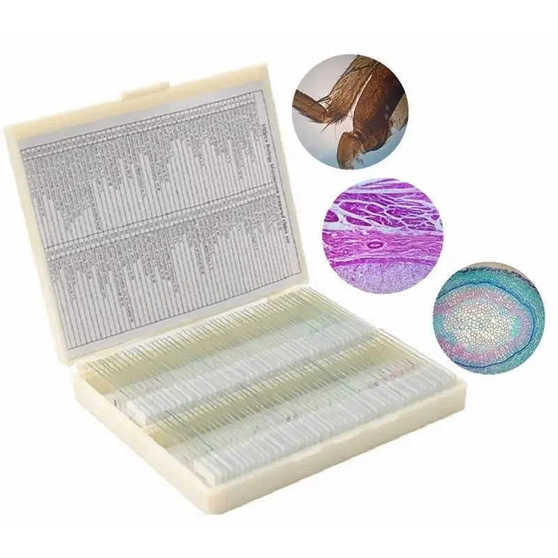 ABFU-For Student Lab 100PC Prepared Slices Microscope Slides Plants Animal Human Specimen Sample Section