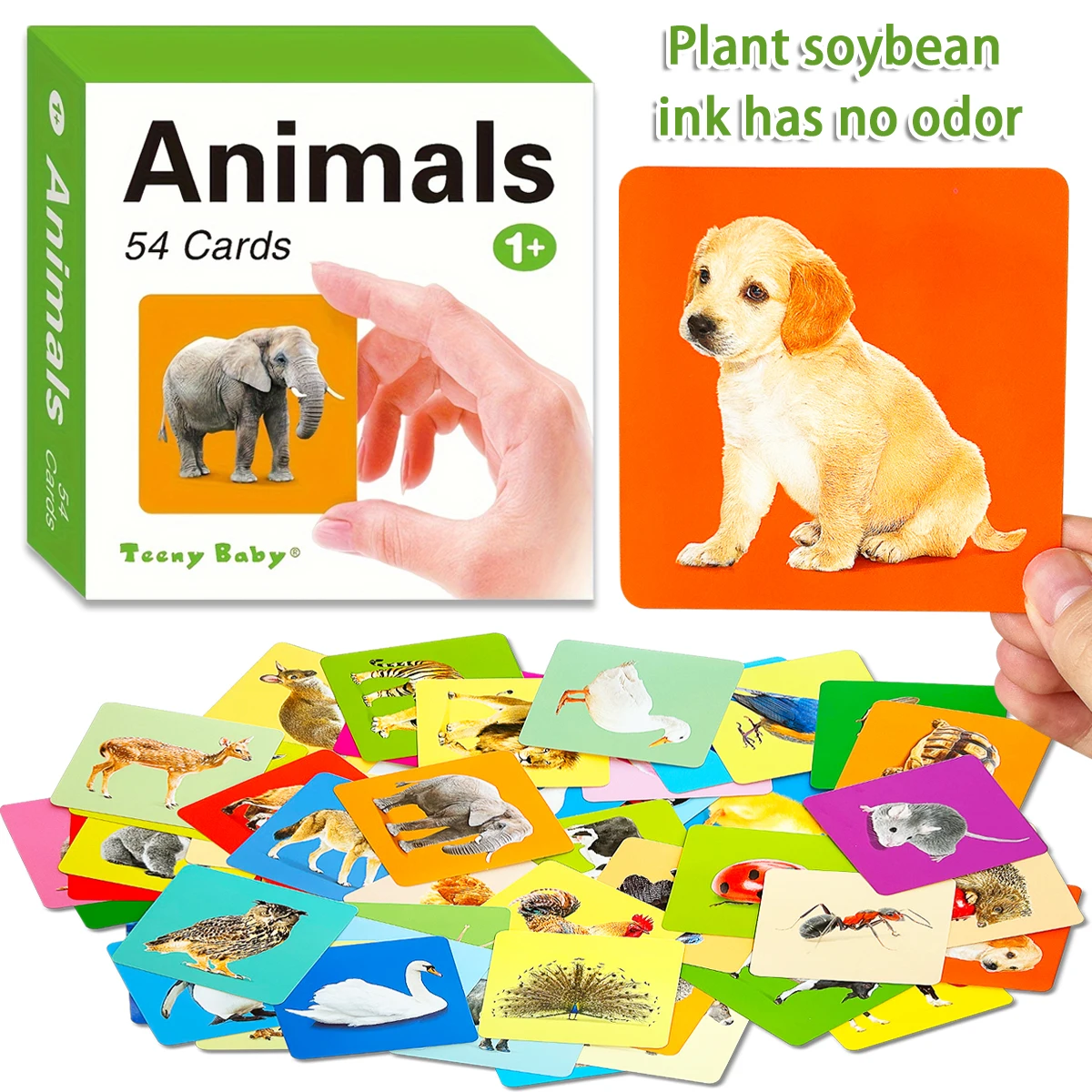 54 Double-Sided English Vocabulary Flashcards – A Gift Suitable for Classrooms and Preschool Early Learning