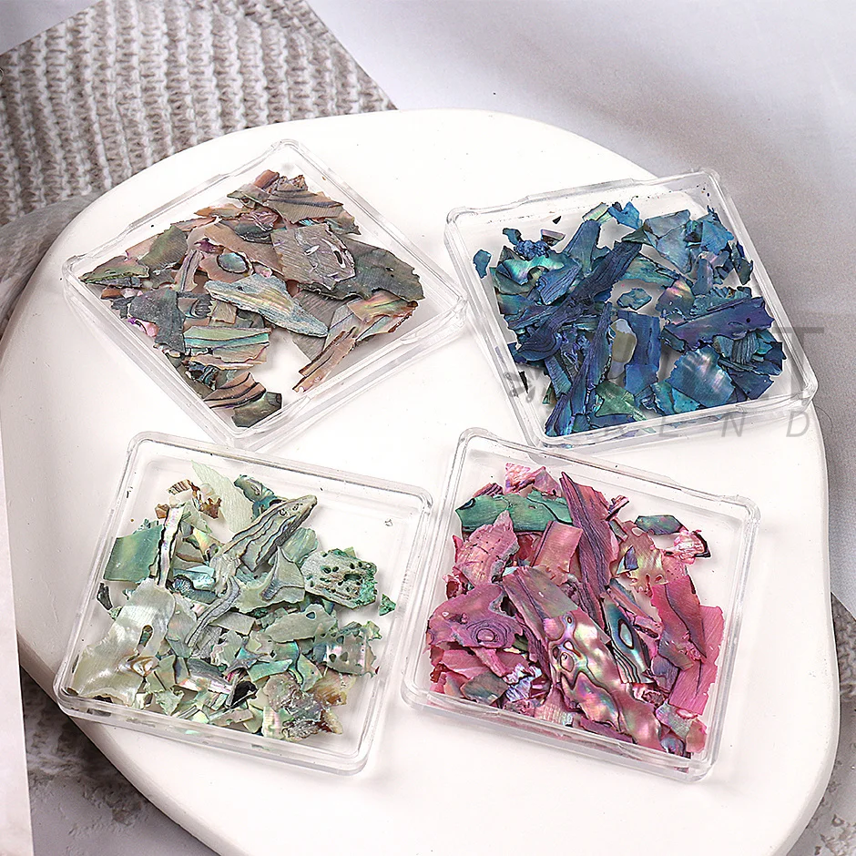 2 Boxes Irregular Abalone Fragments Nail Flakes Iridescent Natural Shell Slices Texture Jewelry Winter Japanese Manicure Decor