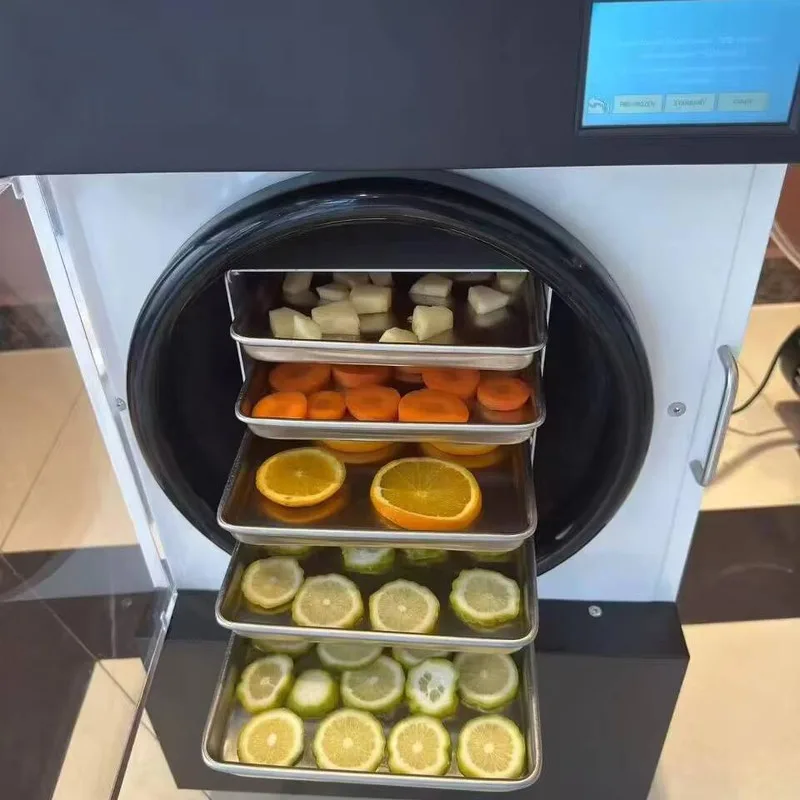 High Productivity Automatic Stainless Steel Freeze Dryer Machine 20 Kg/Batch Vacuum Drying Motor Home Use Vegetable Candy