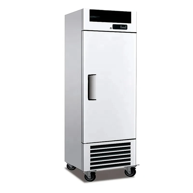 custom.500L Hotel Restaurant Commercial Vertical Fridge 2 Glass Door Upright Freezs Commercial Refrigerator