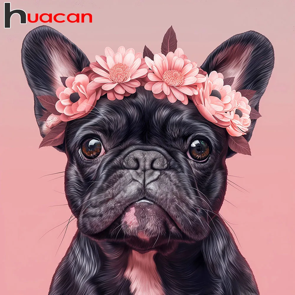 Huacan Vollständiges Diamant-Gemälde Hund Gänseblümchen Diamant-Mosaik Tier Blume Neue Kollektion 2026 Strass-Bilder