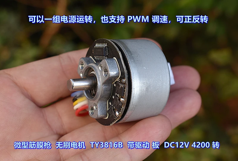 مسدس وتر غشائي محرك بدون فرشاة TY3816B Micro DC12V يدعم التحكم في سرعة PWM للدوران الأمامي والخلفي #3