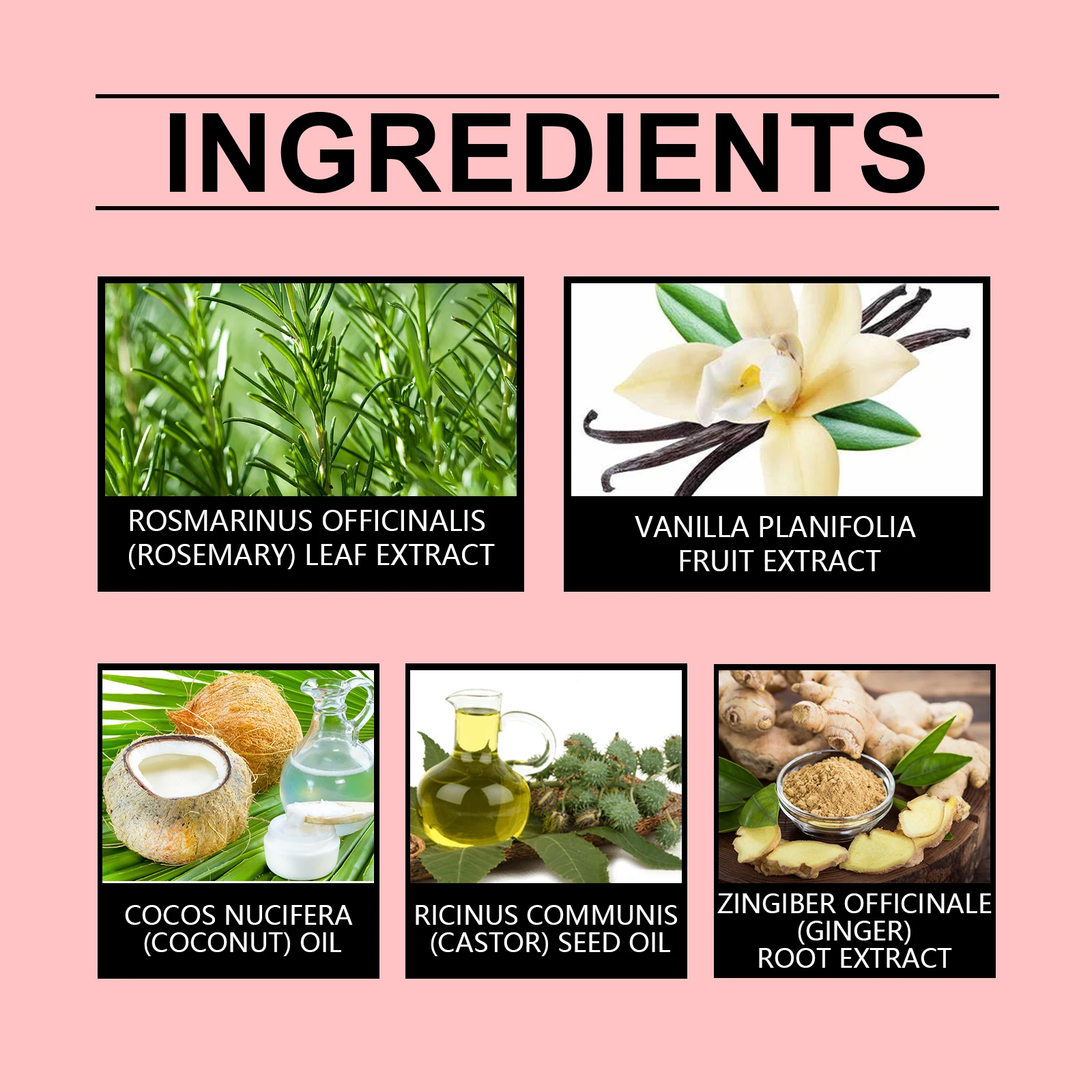 Rosemary Hair Care Soap Nourishes Dry and Split Ends Gently Protects Hair Tips Natural Ginger Extract Hair Care Soap