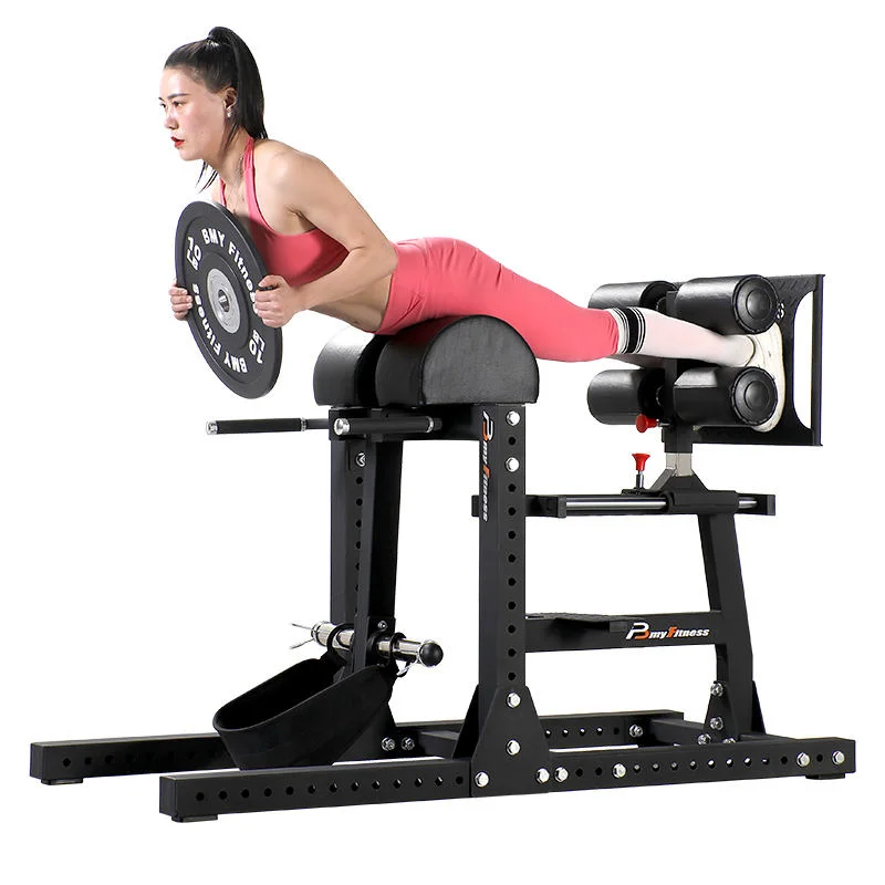 Commercial Unisex Adjustable Safety Roman Chair Bench Gym Fitness Waist Abdominal Back Exercise Prone Reverse Leg Lift