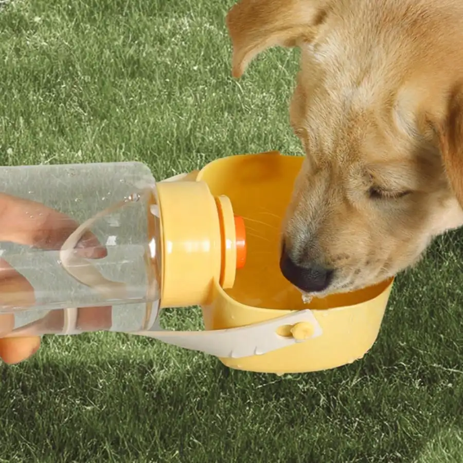 

Cat And Dog Outdoor Universal Feeding Cup
