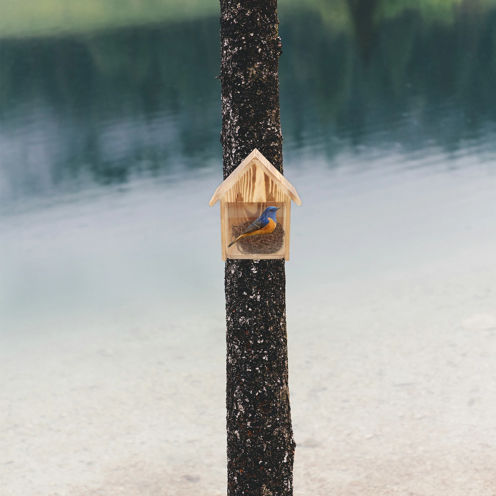 

Wooden Hanging Birdhouse Durable Wood Clear Window Ideal Hole Garden Patio Decorative Houses Hummingbird Nest Bird Watching