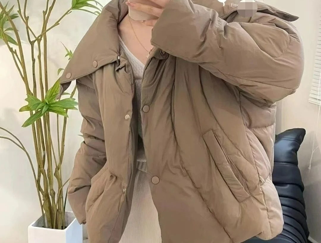 

2025 New Winter Fashion Down Jacket Coat Warm Thick Loose Short Versatile Coat