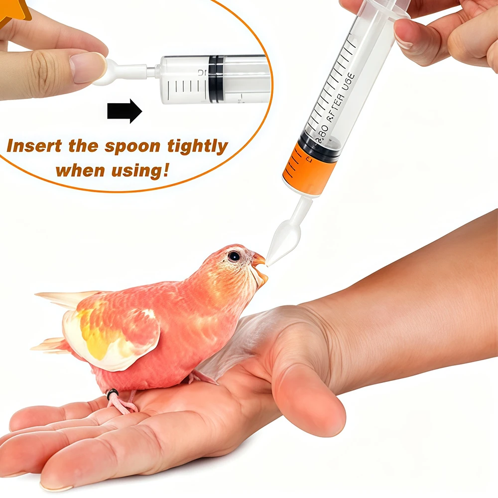 10/6/3 Stück Vogelfütterungslöffel, Papageien-Baby-Fütterungswerkzeug, manueller Tierfütterungslöffel, hauptsächlich zum Füttern von Flüssigfutter für Vögel verwendet. – Detail 2
