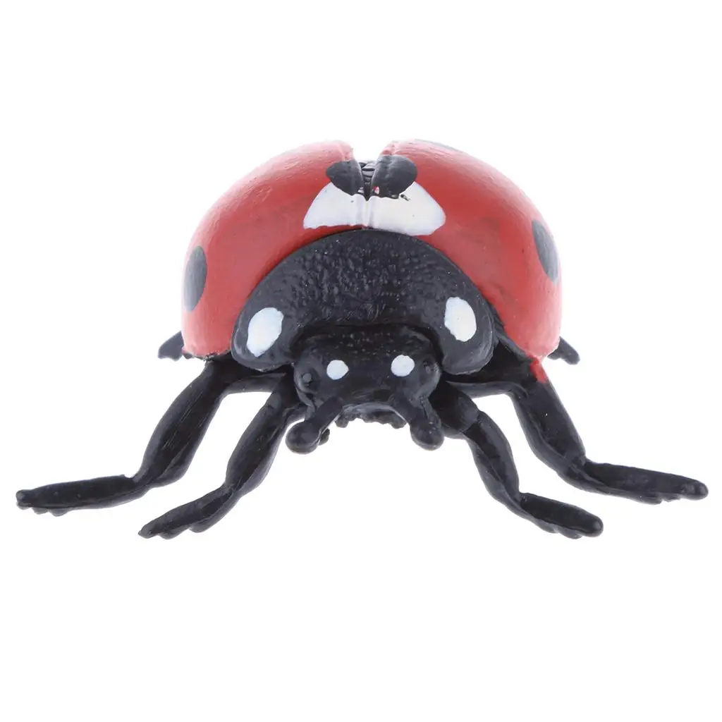 Educational Kids Animal Action Figure Turtle Realistic Toy Home Table Decor Preschool Learning Toy for Classroom Use