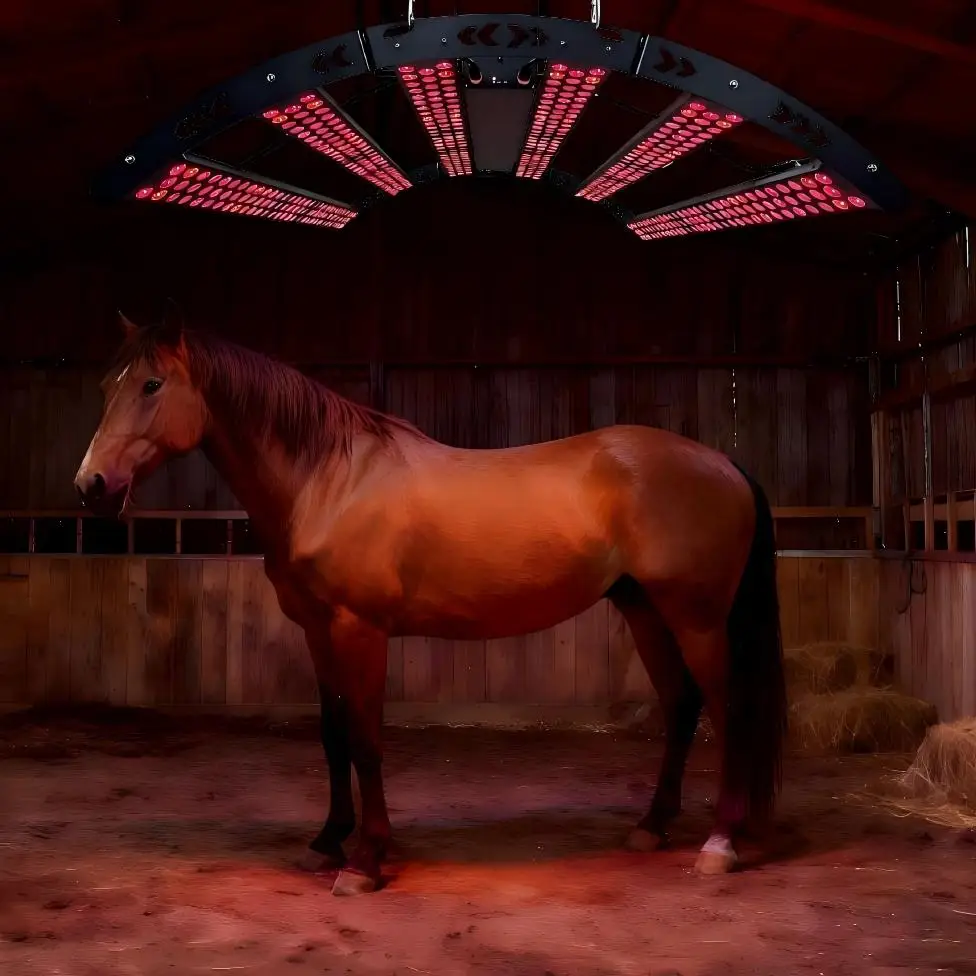 Horse Full Body Therapy Solarium Pony Red Light Blue Light Therapy Red Infrared Horse Light Therapy Bar
