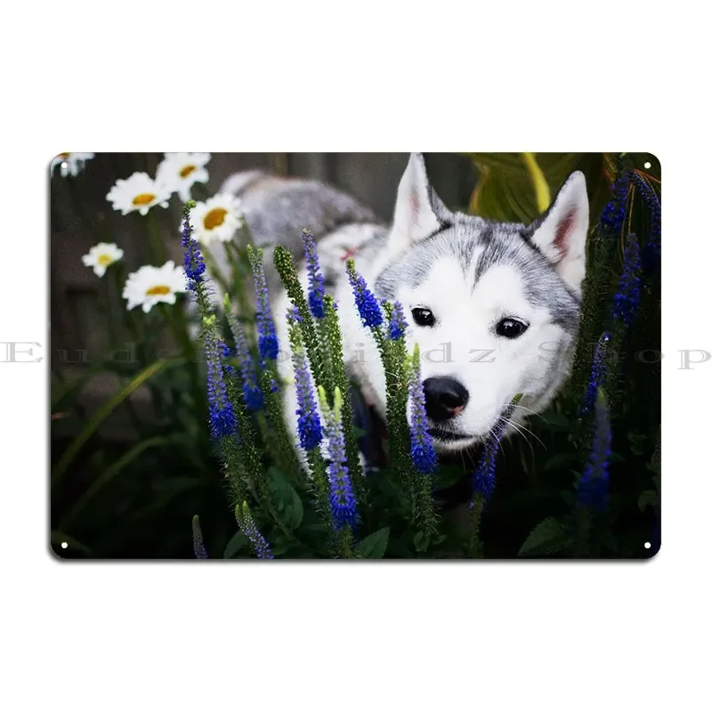 Husky Dogs Flower Dog Gar Metal Signs Pub Wall Decor Cinema Designs Club Tin Sign Poster