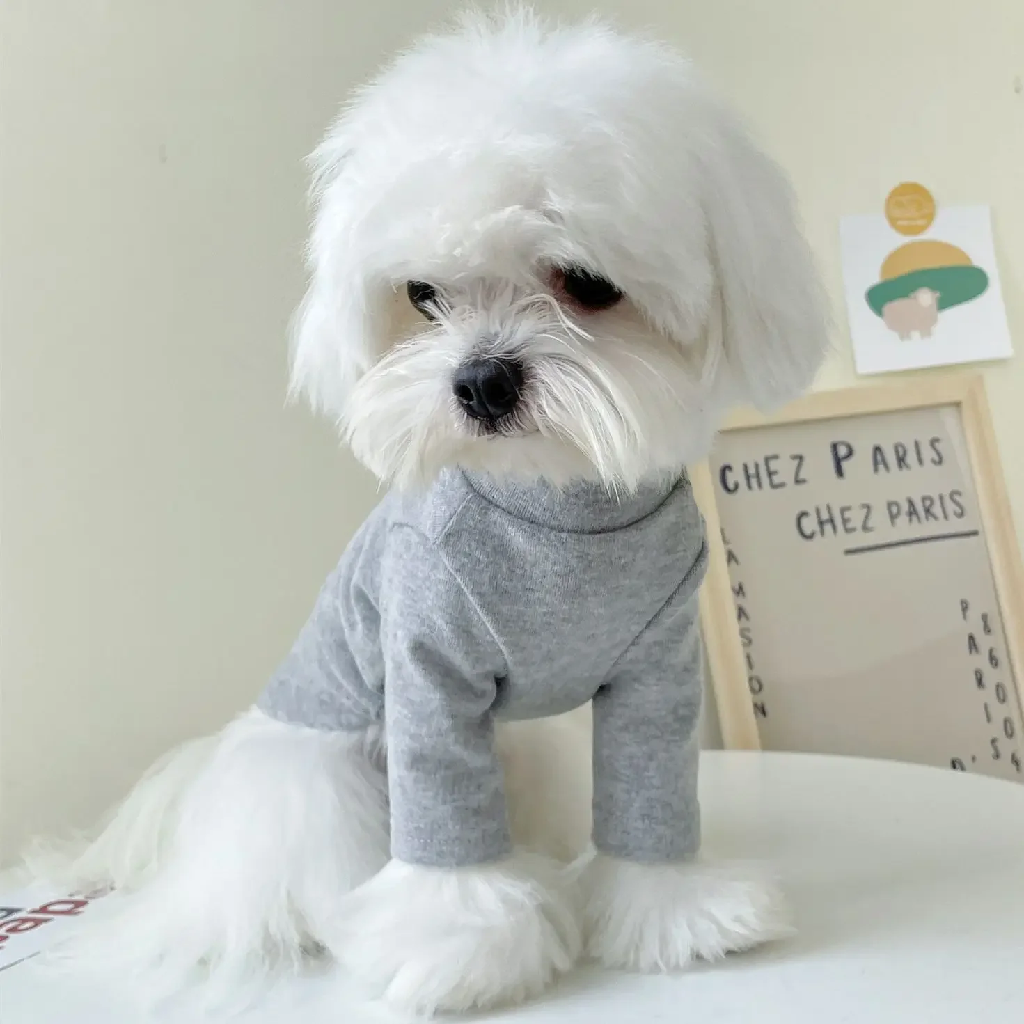 New Cotton Pet Bottoming Shirt Dog Clothes Schnauzer Corgi Cat Turtleneck Tight Bottoming Shirt Warm and Comfortable