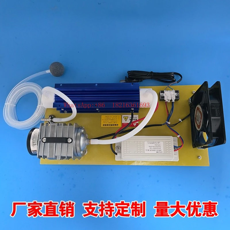 Ozone Generator Disinfection Machine Electromagnetic Air Pump Simple Purification Water Treatment 220V10g20g