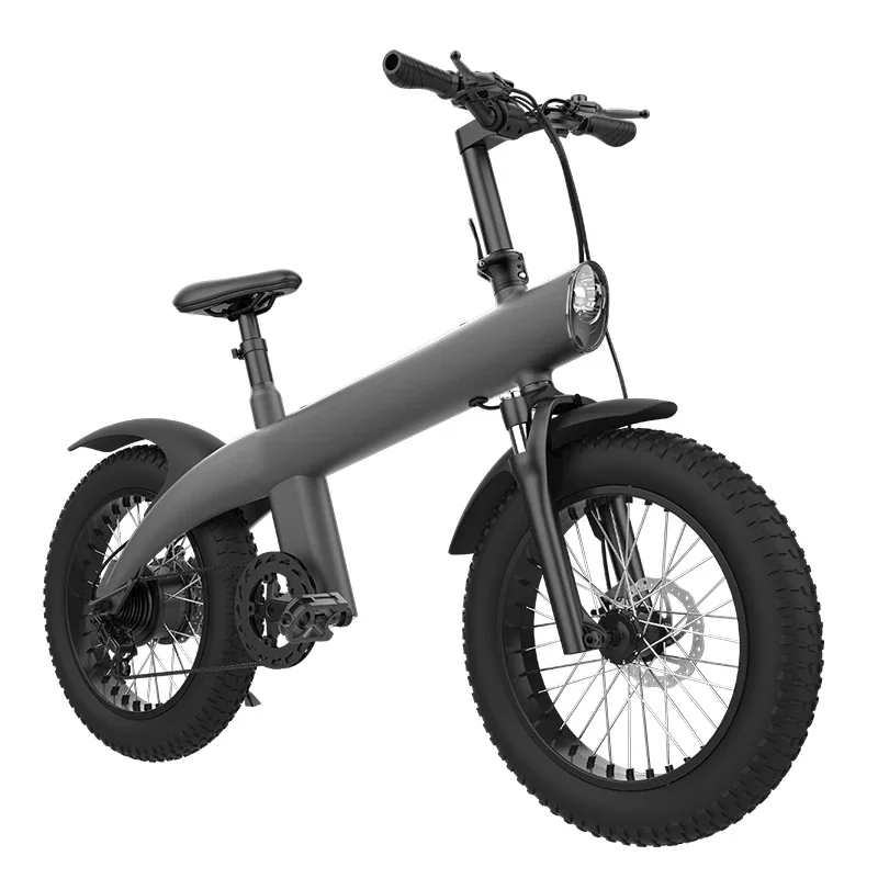 

750W Powerful motor Electric City Bike Mountain Bike ebikecustom